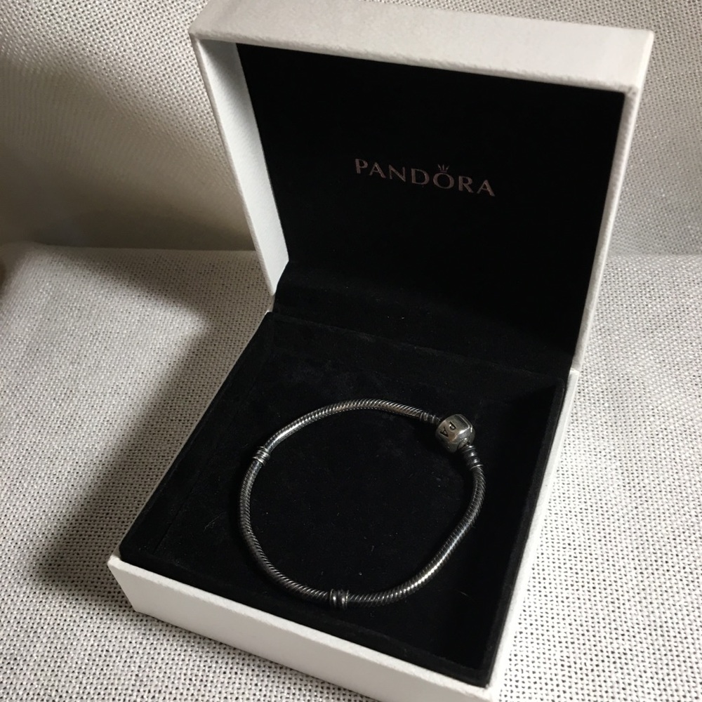 Trendy Pandora Oxidized Silver Charm Bracelet